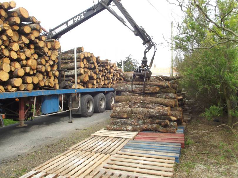 acheter du bois de chauffage en Vendée près de la Loire Atlantique